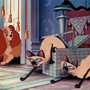 Photo Wilfred Jackson