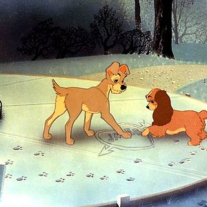 Photo Wilfred Jackson