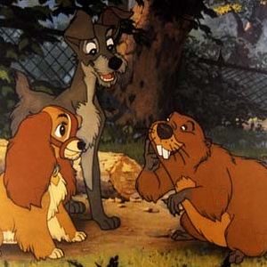 Photo La Belle et le Clochard