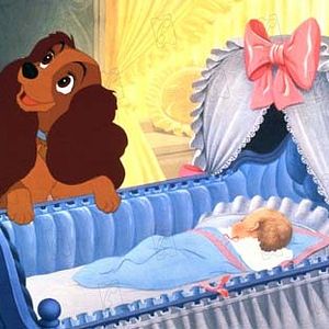 Photo La Belle et le Clochard