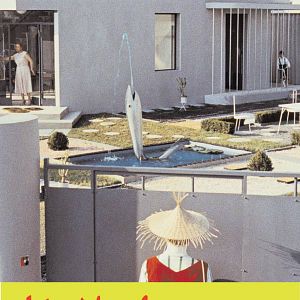 Photo Mon oncle