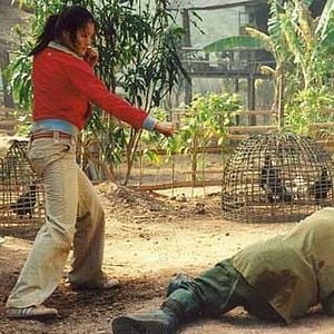 Photo Panna Rittikrai