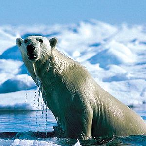 Photo Thierry Piantanida