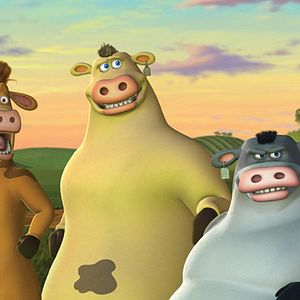 Photo Steve Oedekerk