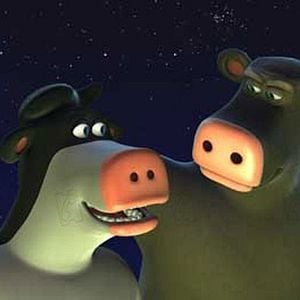 Photo Steve Oedekerk