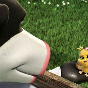 Photo Steve Oedekerk