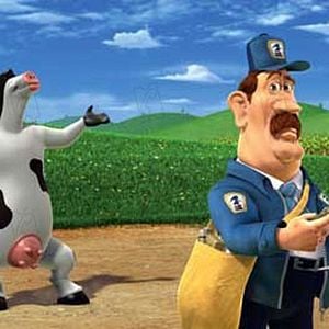 Photo Steve Oedekerk