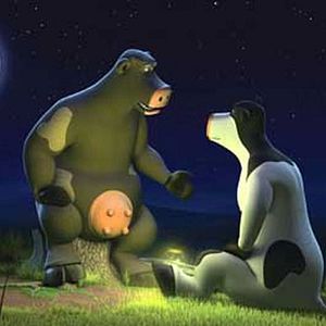 Photo Steve Oedekerk