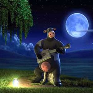 Photo Steve Oedekerk