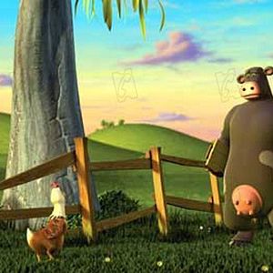 Photo Steve Oedekerk