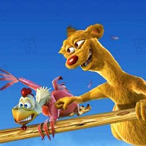 Photo Steve Oedekerk