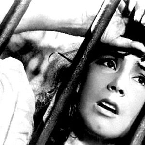 Photo Mikhail Kalatozov