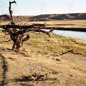 Photo Jodelle Ferland