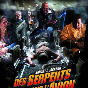Photo Des serpents dans l'avion