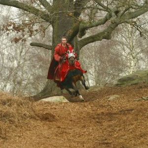 Photo Les Rois Maudits