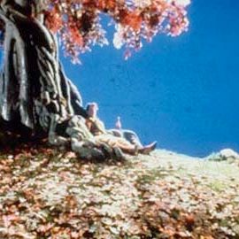 Photo Terry Gilliam