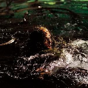 Photo Rupert Wainwright