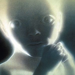 Photo 2001 : l'odyssée de l'espace
