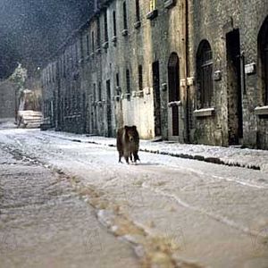 Photo Charles Sturridge