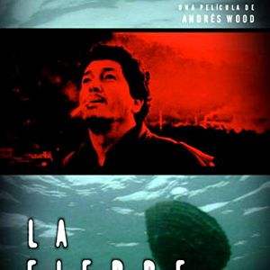 Photo La fiebre del loco