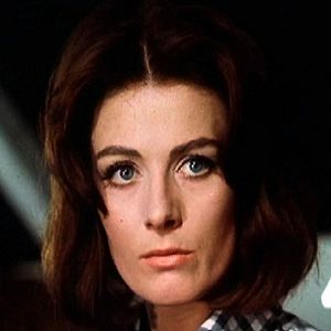 Photo Michelangelo Antonioni