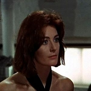 Photo Michelangelo Antonioni