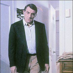 Photo Un Papillon sur l'épaule