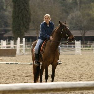 Photo Alexandra Vandernoot