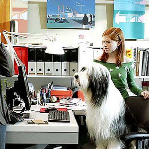 Photo Spencer Breslin