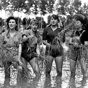 Photo Silvana Mangano