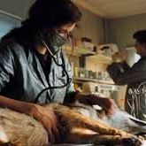 Photo Andreas Wilson