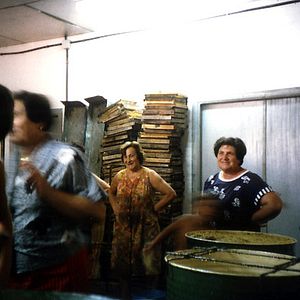 Photo Peter Hoffmann