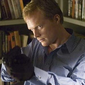 Photo Paul Bettany