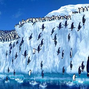 Photo Happy Feet