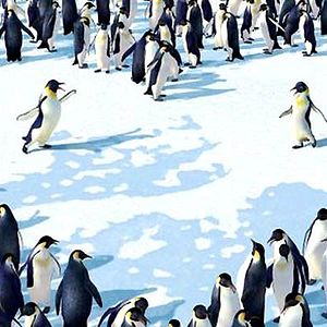 Photo Happy Feet