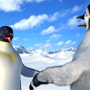 Photo Happy Feet