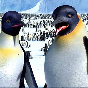 Photo Happy Feet