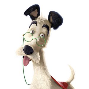 Photo Stephen J. Anderson