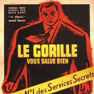 Photo Le Gorille vous salue bien