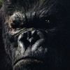 Photo King Kong