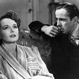 Photo Le Faucon maltais