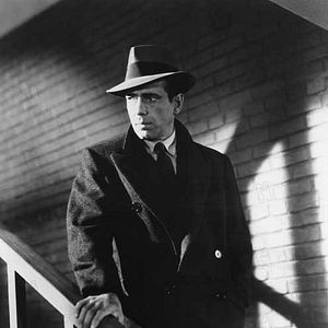 Photo Le Faucon maltais