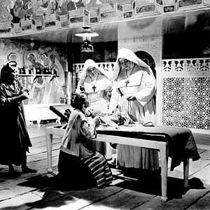 Photo Le Narcisse noir