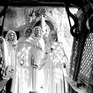 Photo Le Narcisse noir