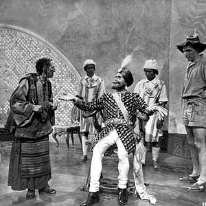 Photo Le Narcisse noir