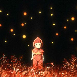 Photo Le Tombeau des lucioles