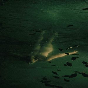 Photo Jean-Marc Barr