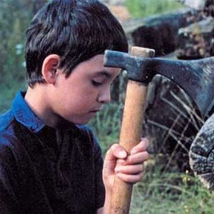 Photo Laurent Achard