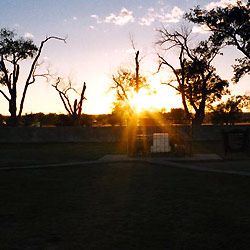 Photo Anne Feinsilber