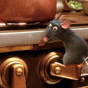 Photo Ratatouille
